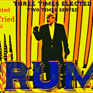 Trump Triumphant  House Flag
