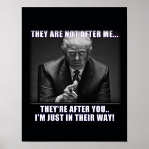 TRUMP TRUTH. POSTER