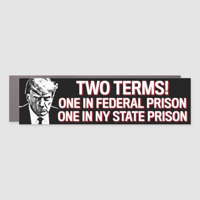 Trump Two Terms Prison Mugshot Anti-Trump 2024 Car Magnet (Front)