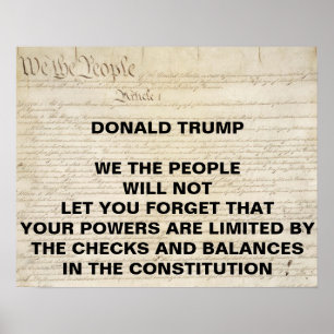 Trump We the People Checks and Balances Protest Poster