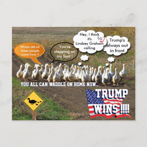 Trump wins postcard