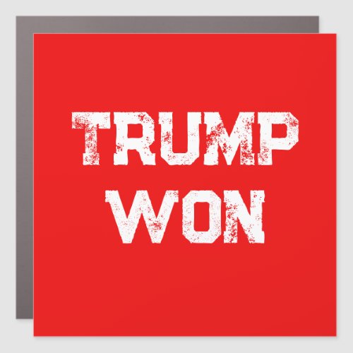 TRUMP WON   CAR MAGNET