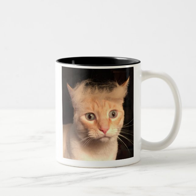 Trump Your Cat Mug (Right)
