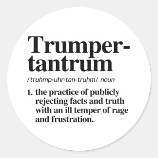 Trumper Tantrum Definition Classic Round Sticker
