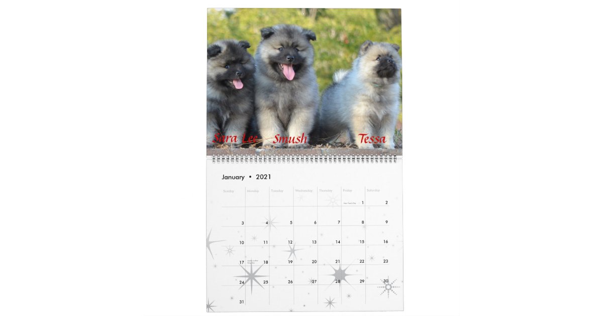 Trumpet Keeshond Calendar