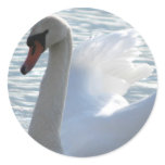 Trumpet Swan Sticker