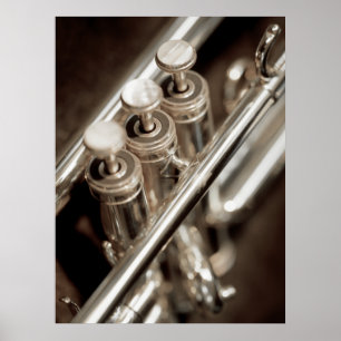 trumpet valves poster