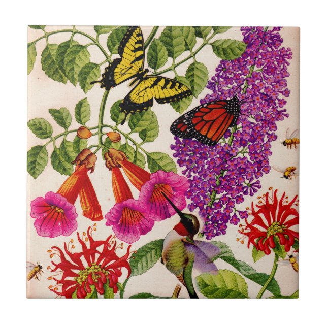 trumpet vine, butterfly bush, bee balm ceramic tile (Front)