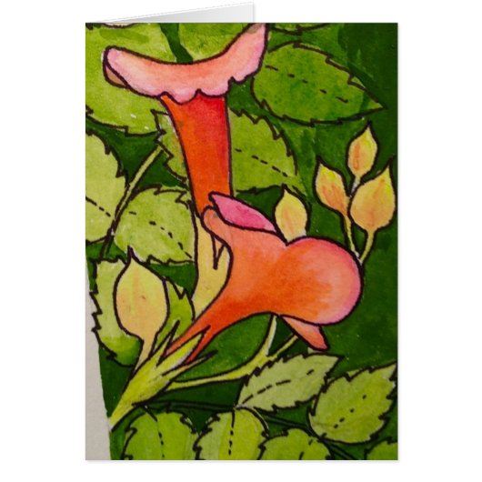 Trumpet Vine Cards (Front)