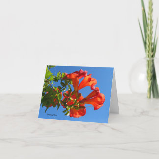 Trumpet vine & Honeysuckle Card