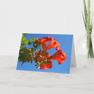 Trumpet vine & Honeysuckle Card