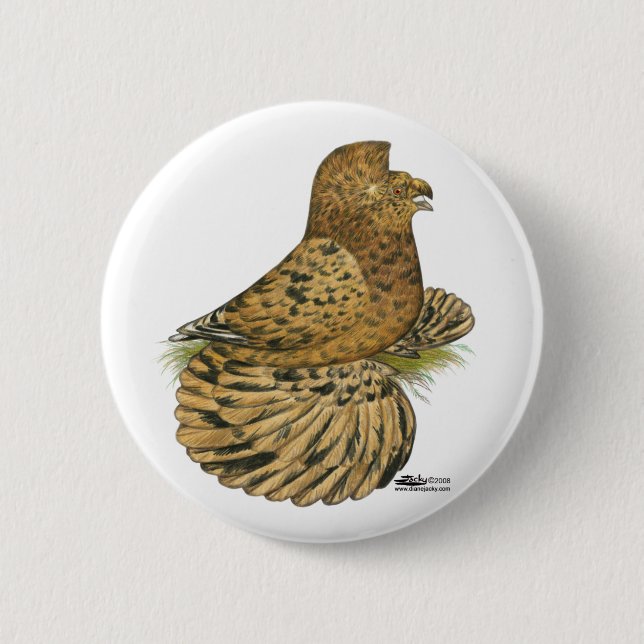 Trumpeter Pigeon Almond Pinback Button (Front)