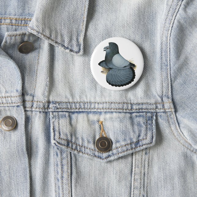 Trumpeter Pigeon Blue Barless Button (In Situ)