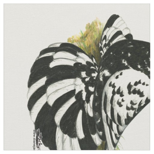 Trumpeter Pigeon Dark Splash Fabric