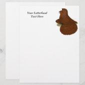 Trumpeter Pigeon Red (Front/Back)