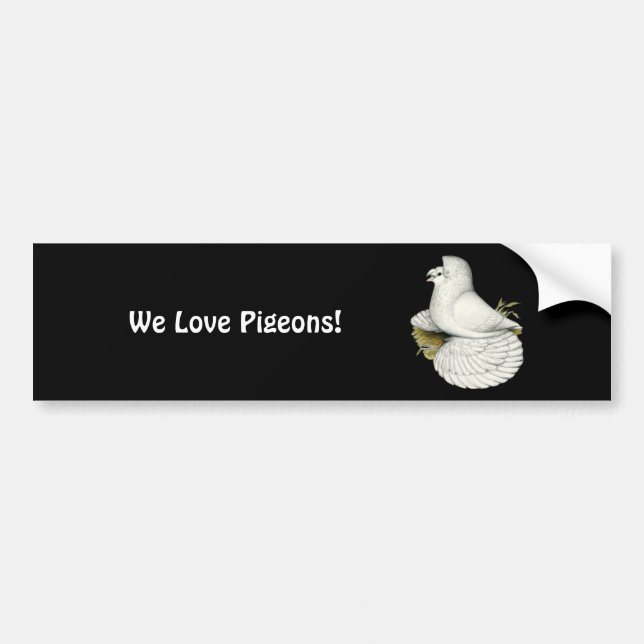 Trumpeter Pigeon White Bumper Sticker (Front)