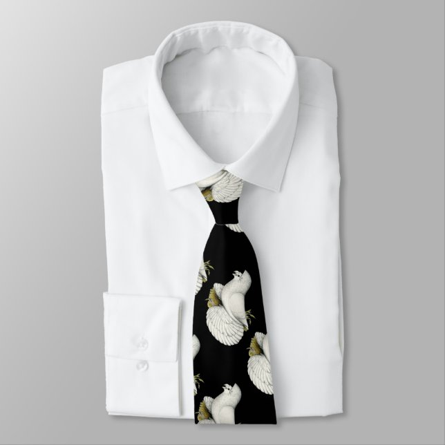 Trumpeter Pigeon White Tie (Tied)