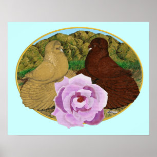 Trumpeter Pigeons and Rose Poster
