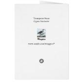 Trumpeter Swan 2 Cards (Back)