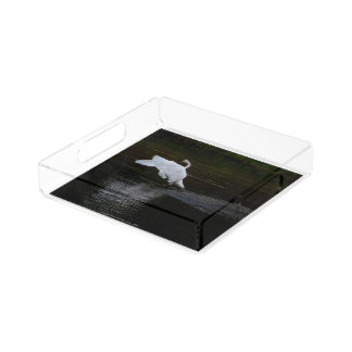 Trumpeter Swan Acrylic Tray