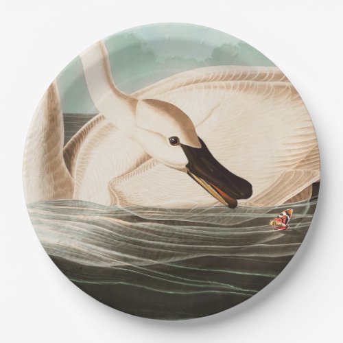 Trumpeter Swan and Butterfly Paper Plates