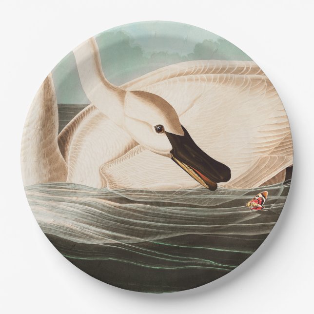Trumpeter Swan and Butterfly Paper Plates (Front)