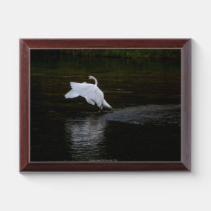 Trumpeter Swan Award Plaque