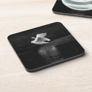 Trumpeter Swan b/w Beverage Coaster
