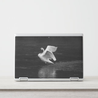Trumpeter Swan b/w HP Laptop Skin