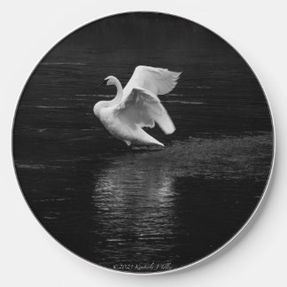Trumpeter Swan b/w Wireless Charger