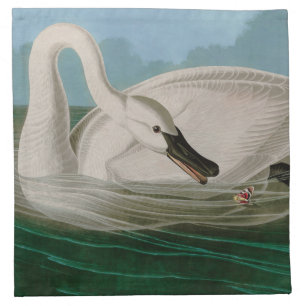 Trumpeter Swan Birds of America Audubon Print Cloth Napkin