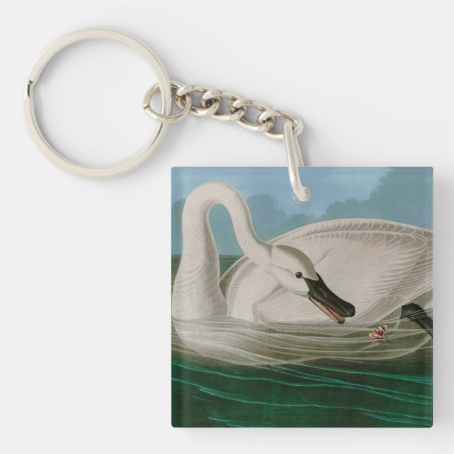 Trumpeter Swan Birds of America Audubon Print Keychain (Front)