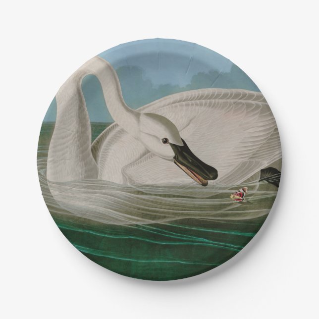 Trumpeter Swan Birds of America Audubon Print Paper Plates (Front)