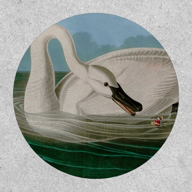 Trumpeter Swan Birds of America Audubon Print Patch (Front)