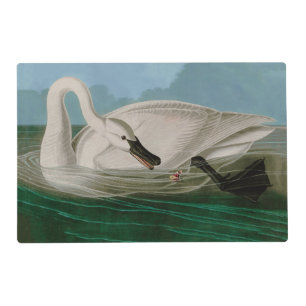 Trumpeter Swan Birds of America Audubon Print Placemat