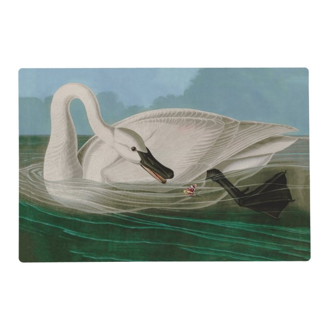 Trumpeter Swan Birds of America Audubon Print Placemat (Front)