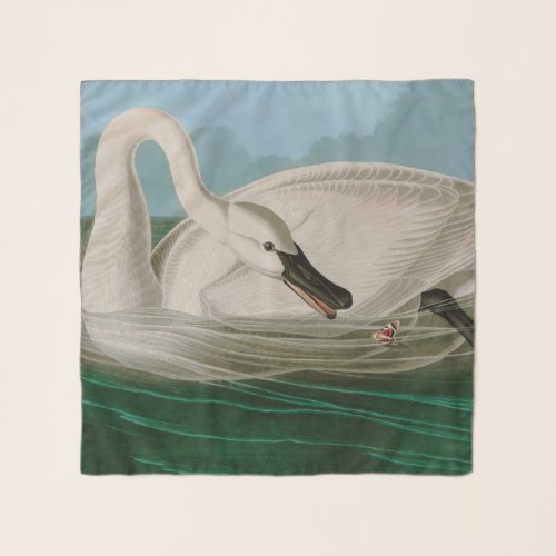 Trumpeter Swan Birds of America Audubon Print Scarf
