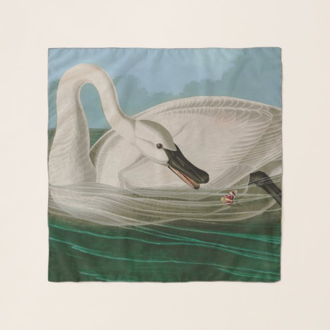 Trumpeter Swan Birds of America Audubon Print Scarf (Front)