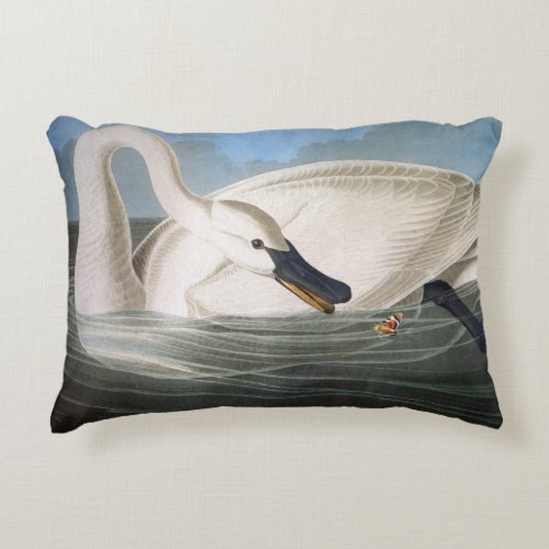 Trumpeter swan by John James Audubon Accent Pillow