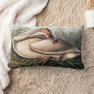 Trumpeter Swan by John James Audubon Lumbar Pillow