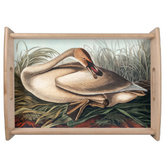 Trumpeter Swan by John James Audubon Serving Tray
