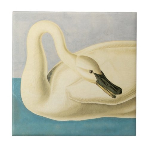 Trumpeter Swan by John James Audubon Vintage Bird Ceramic Tile