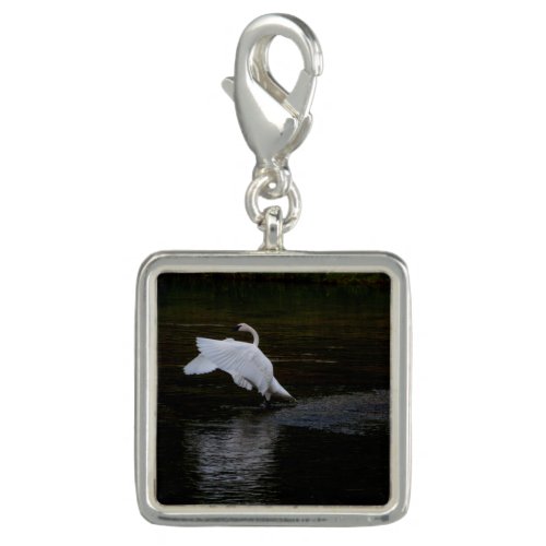 Trumpeter Swan Charm