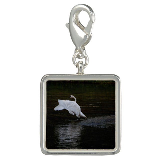 Trumpeter Swan Charm (Front)