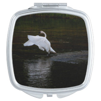 Trumpeter Swan Compact Mirror