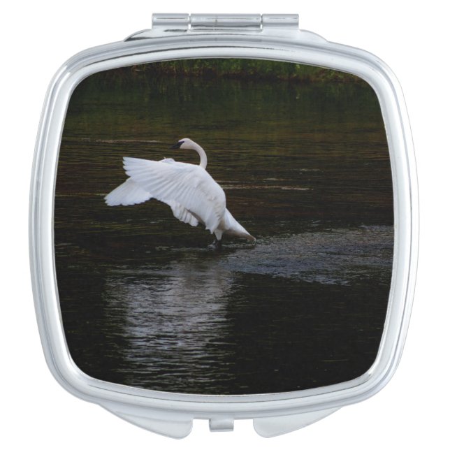 Trumpeter Swan Compact Mirror (Front)
