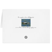 Trumpeter Swan & Cygnets Cards (Back Horizontal)