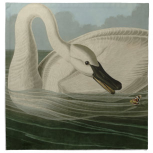 Trumpeter Swan - from Audubon's Birds of America Cloth Napkin