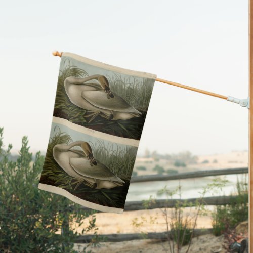 Trumpeter Swan _ from Audubons Birds of America H House Flag