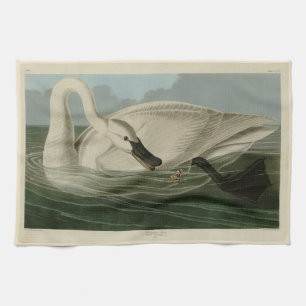 Trumpeter Swan - from Audubon's Birds of America Kitchen Towel